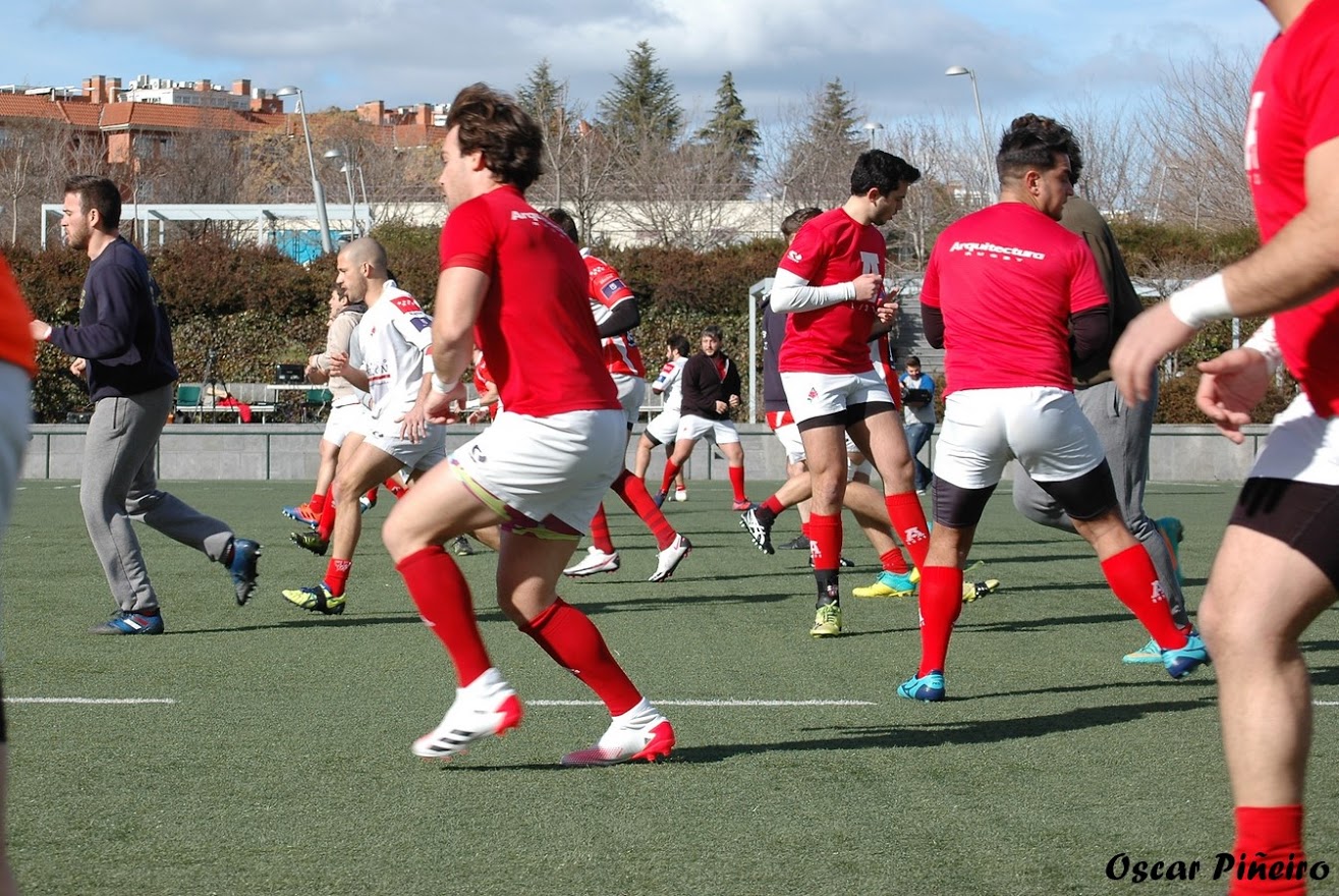 rugby arquitectura malaga