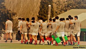 arquitectura rugby car caceres
