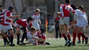 rugby