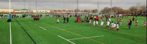 rugby