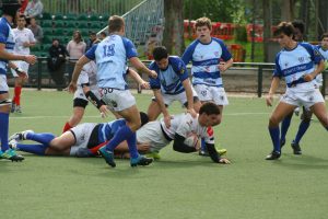 arquitectura rugby c