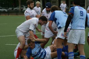 arquitectura rugby c