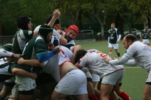 arquitectura rugby b