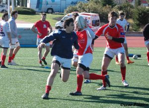 arquitectura rugby car sevilla
