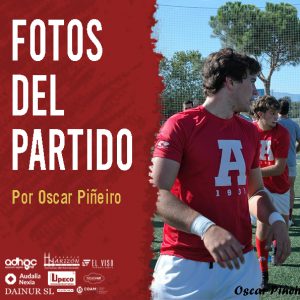 rugby arquitectura