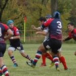 Arquitectura rugby vs liceo frances