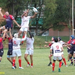 Arquitectura rugby vs liceo frances