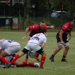 Arquitectura rugby vs liceo frances