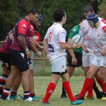 Arquitectura rugby vs liceo frances