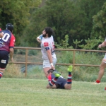 Arquitectura rugby vs liceo frances