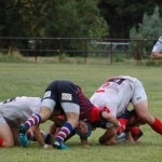 Arquitectura rugby vs liceo frances