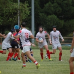 Arquitectura rugby vs liceo frances