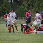 Arquitectura rugby vs liceo frances