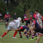 Arquitectura rugby vs liceo frances