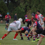 Arquitectura rugby vs liceo frances