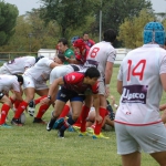 Arquitectura rugby vs liceo frances