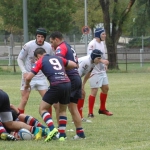 Arquitectura rugby vs liceo frances