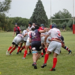 Arquitectura rugby vs liceo frances