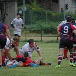 Arquitectura rugby vs liceo frances