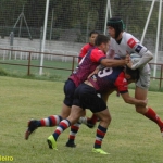 Arquitectura rugby vs liceo frances