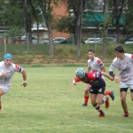 Arquitectura rugby vs liceo frances