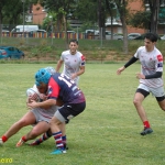 Arquitectura rugby vs liceo frances