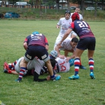 Arquitectura rugby vs liceo frances