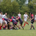 Arquitectura rugby vs liceo frances