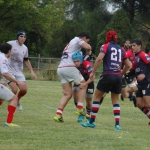 Arquitectura rugby vs liceo frances
