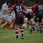 Arquitectura rugby vs liceo frances