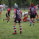 Arquitectura rugby vs liceo frances