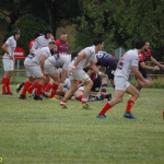 Arquitectura rugby vs liceo frances