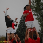 Arquitectura rugby vs liceo frances