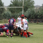 Arquitectura rugby vs liceo frances
