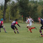 Arquitectura rugby vs liceo frances
