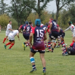 Arquitectura rugby vs liceo frances
