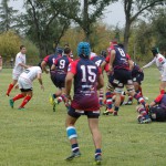 Arquitectura rugby vs liceo frances