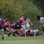 Arquitectura rugby vs liceo frances