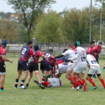Arquitectura rugby vs liceo frances