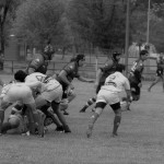 Arquitectura rugby vs liceo frances